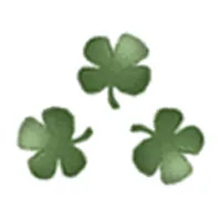 Walsh Accountancy Services Ltd