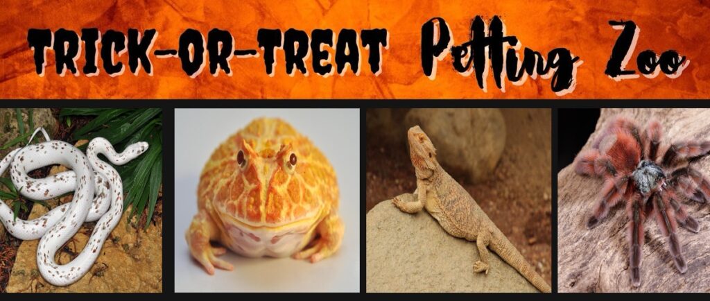 Trick or Treat Petting Zoo